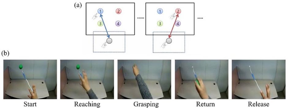 neural signals