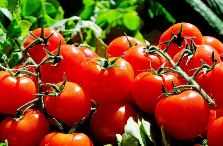 Greenhouses