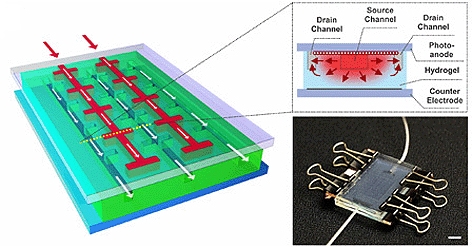 The design of NC State’s regenerative solar cell mimics nature by use of microfluidic channels