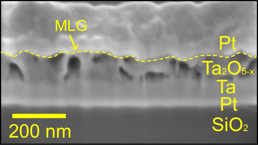 Electron microscope image of the memory device. 