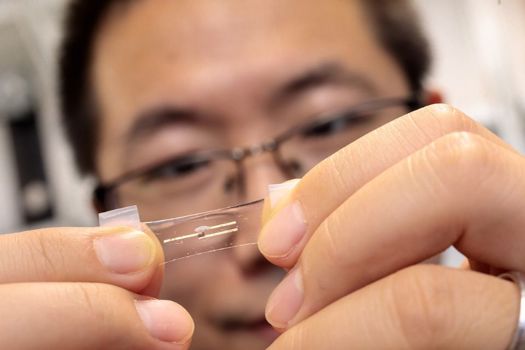 The wearable neuromorphic chip, made of stretchy semiconductors, can implement AI to process large amounts of health information in real time. Above, Asst. Prof. Sihong Wang shows a single neuromorphic device with three electrodes