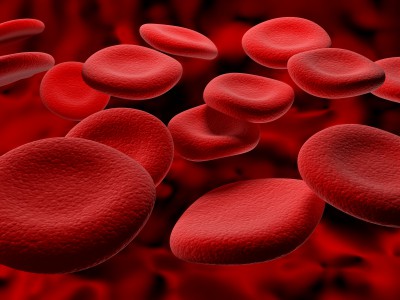 red-blood-cells