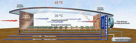 /l/i/l/TE_saltwater_greenhouse.jpg