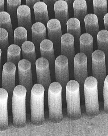 These posts, made of carbon nanotubes, can trap cancer cells and other tiny objects as they flow through a microfluidic device.