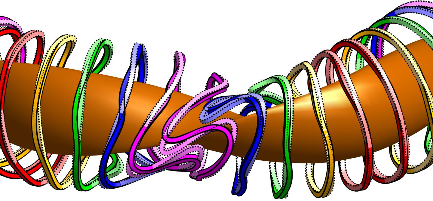 Stellarator magnets have complex geometry. REGCOIL increases the space between the coils (as shown by the dotted lines)