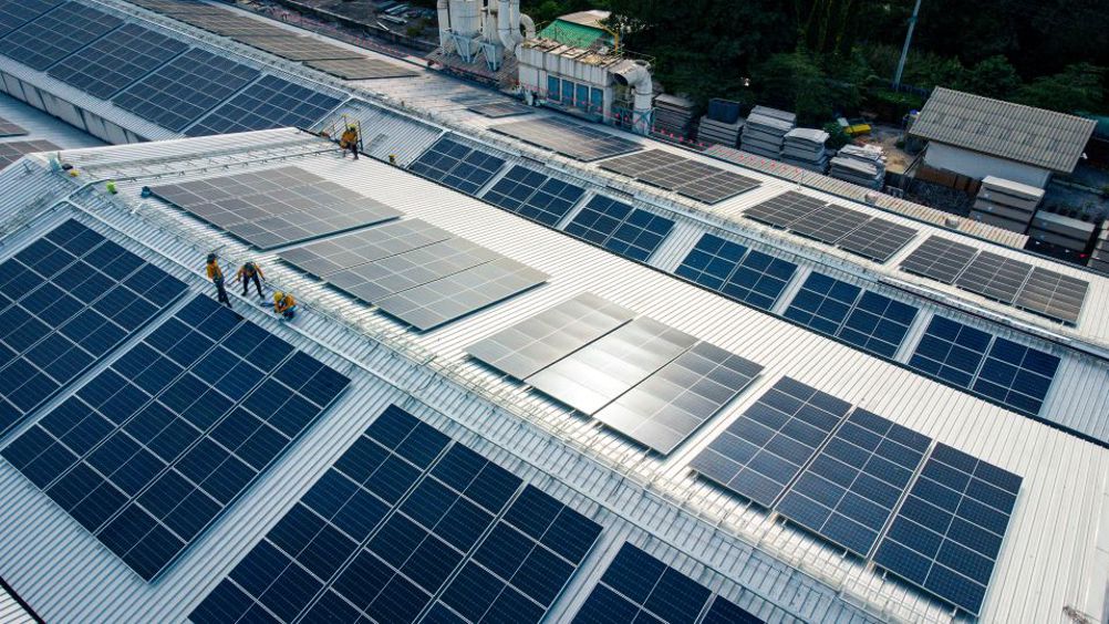 97 per cent of mid-market and large company leaders back a move away from coal and other fossil fuels