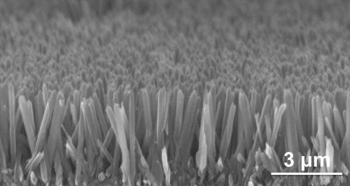 (Credit: Qing Wang, Penn State)