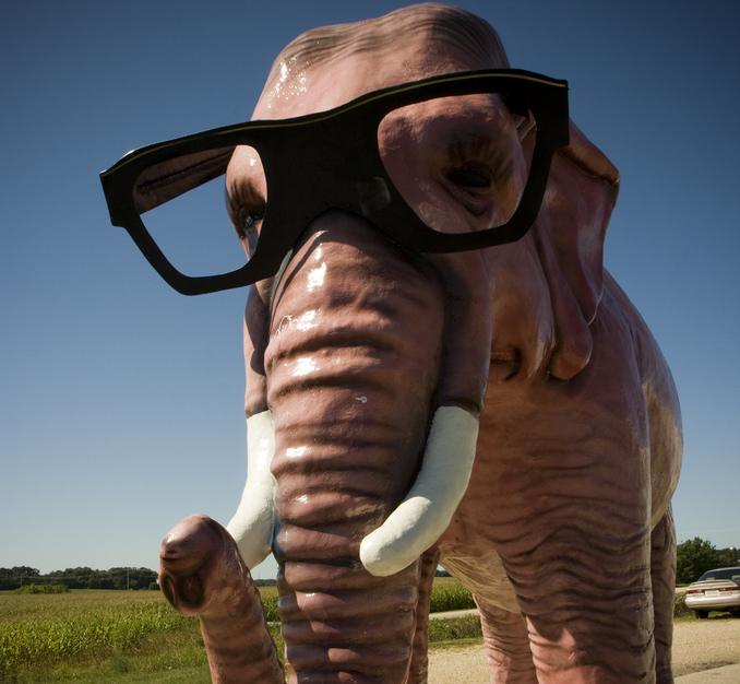 An elephant wearing glasses