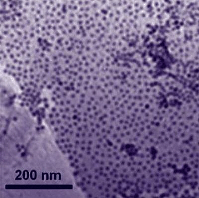 Nanoparticles of cobalt attach themselves to a graphene substrate in a single layer. As a catalyst, the cobalt-graphene combination was a little slower getting the oxygen reduction reaction going, but it reduced oxygen faster and lasted longer than platin