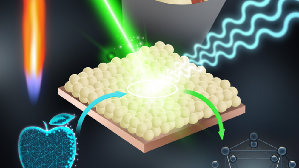 Flame nanoparticle deposition was used to produce robust nanosensors that can detect pesticide residues on apple surfaces within minutes