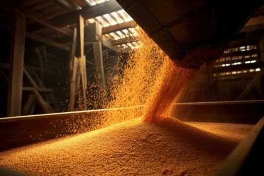 The post-harvest phase is critical, encompassing essential activities such as grading, cleaning, handling, packing, storing, marketing, and transportation