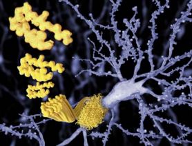 Targeting Alzheimer’s disease