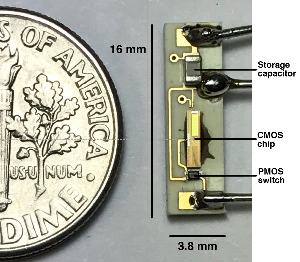 (Credit: Rice Integrated Systems and Circuits/Rice University)