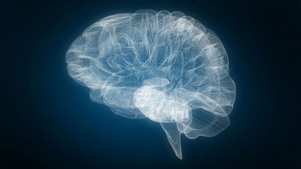 Currently, there is no way to measure neural activity during early neural development