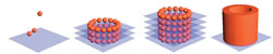 Circle of life: The bio-printer deposits a circle of bioink, made up of 60,000-80,000 chopped-up cells (that spontaneously organise into spheres), onto a sheet of biopaper, a biocompatible water-based gel. The cell ‘soup’ of bioink blobs then begins to re