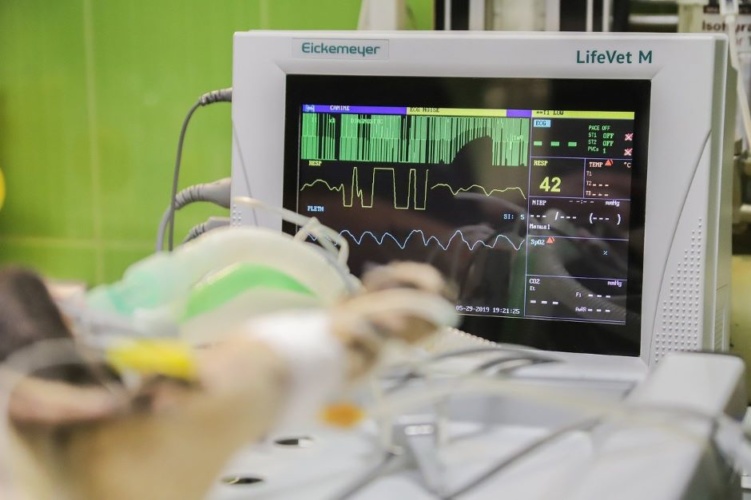 intra-operative ultrasound
