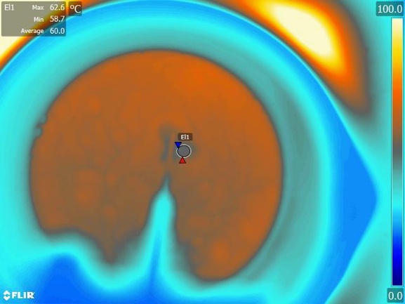 Thermal imaging aids biomedical research