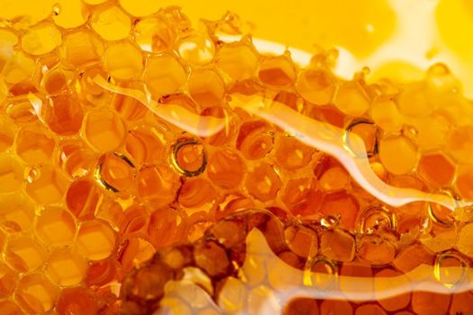 Reports suggest that food fraud, including honey fraud, costs the global economy $30-40bn per year 