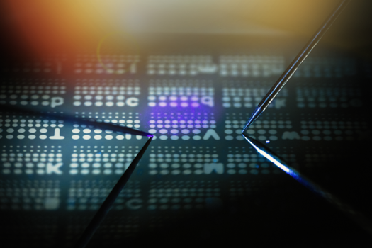 The electrical resistance of the optoelectric memristor can be programmed by visible light