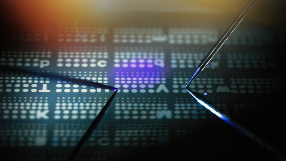 The electrical resistance of the optoelectric memristor can be programmed by visible light