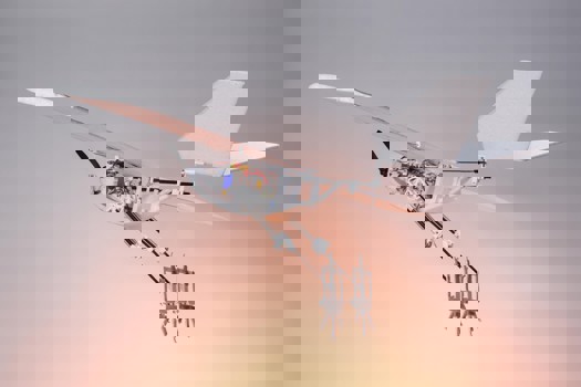 RAVEN (Robotic Avian-inspired Vehicle for multiple ENvironments) 