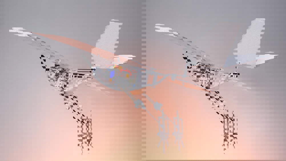 RAVEN (Robotic Avian-inspired Vehicle for multiple ENvironments)