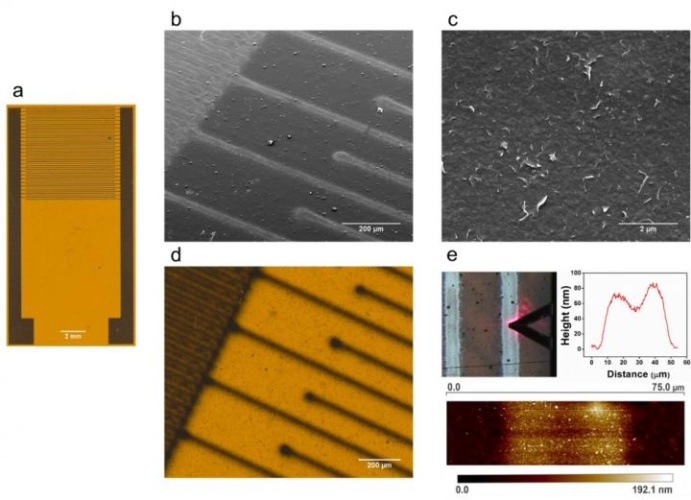 graphene sensors