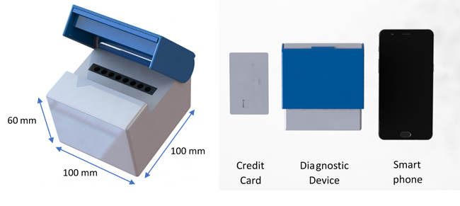 rapid test for Covid-19