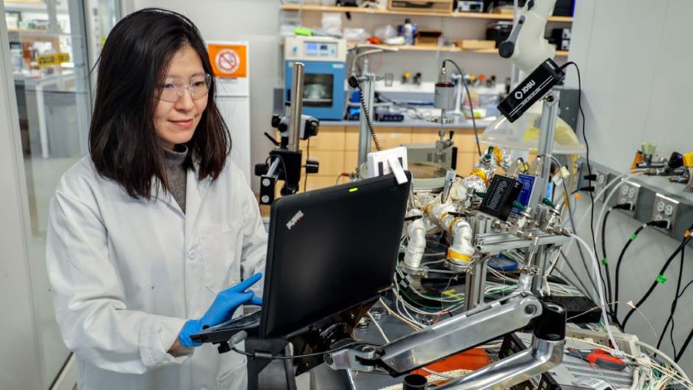 Rong Yang, assistant professor of chemical and biomolecular engineering, works with an initiated chemical vapour deposition system in her Olin Hall laboratory