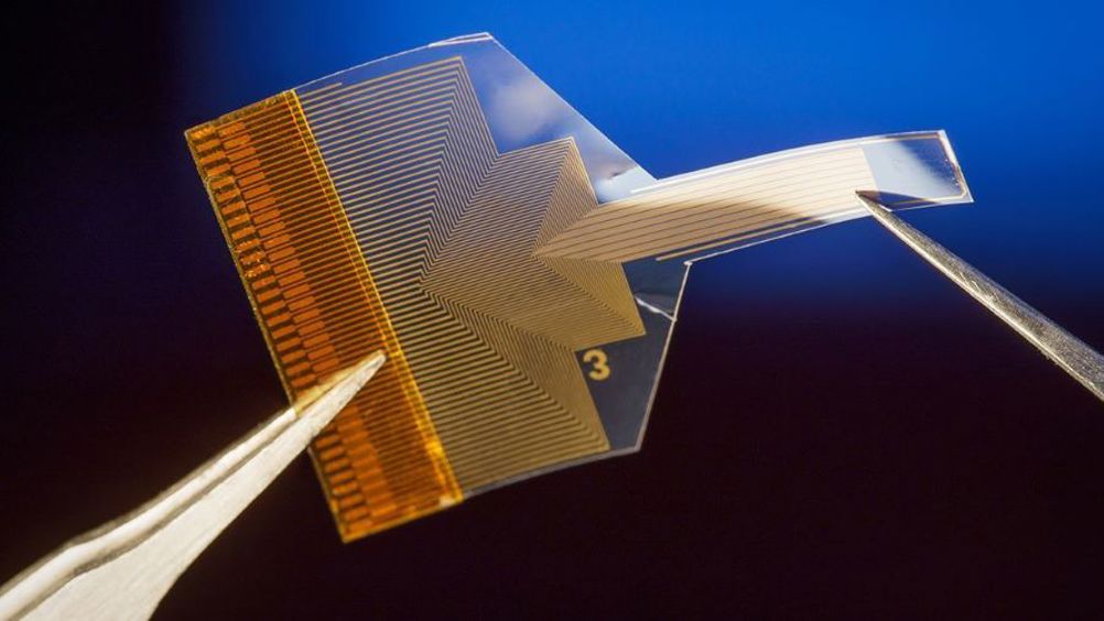 When placed on the surface of the brain, this thin, flexible implant enables researchers to capture high-resolution information about neural activity deep inside the brain without damaging its delicate tissue