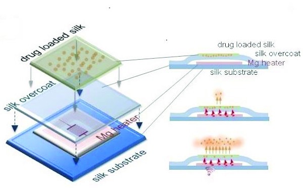 Researchers at Tufts University School of Engineering have demonstrated for the first time a dissolving electronic implant, made of silk and magnesium, that eliminated bacterial infection in mice by delivering heat to infected tissue when triggered by a r