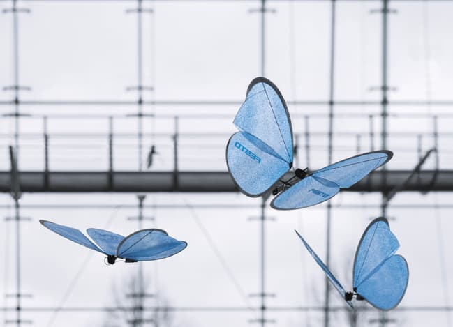 fesrto's giant robot butterflies bring a flamboyant touch for visitors to its factory