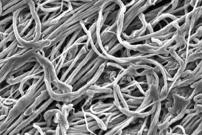 nanofibres