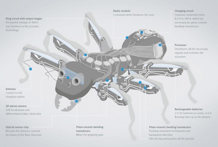 The bionic ant project attempted to investigate collaborative approaches to intelligent systems