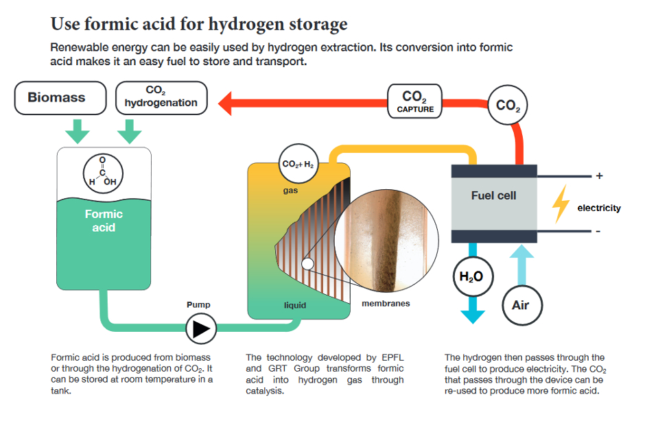 formic acid