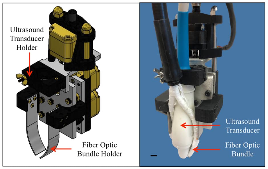 biomedical imaging