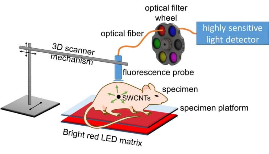 (Credit: Weisman Lab/Rice University)