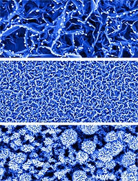 A new type of biosensor can detect minute concentrations of glucose in saliva, tears and urine. The technology might eventually help to eliminate or reduce the frequency of using pinpricks for diabetes testing. (Purdue University photo/Jeff Goecker)