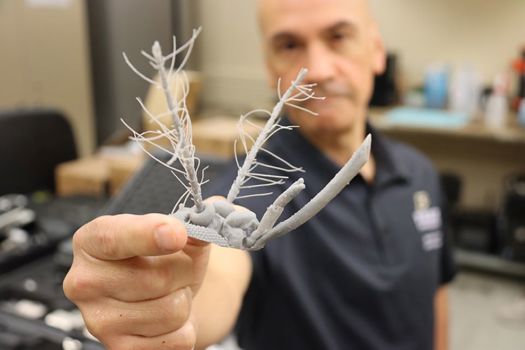 Purdue University professor Pablo Zavattieri holds a 3D-printed mosquito head. His team is recreating mosquito antennae to better study their sensitivity to vibrations, which may improve how natural disasters are monitored and detected