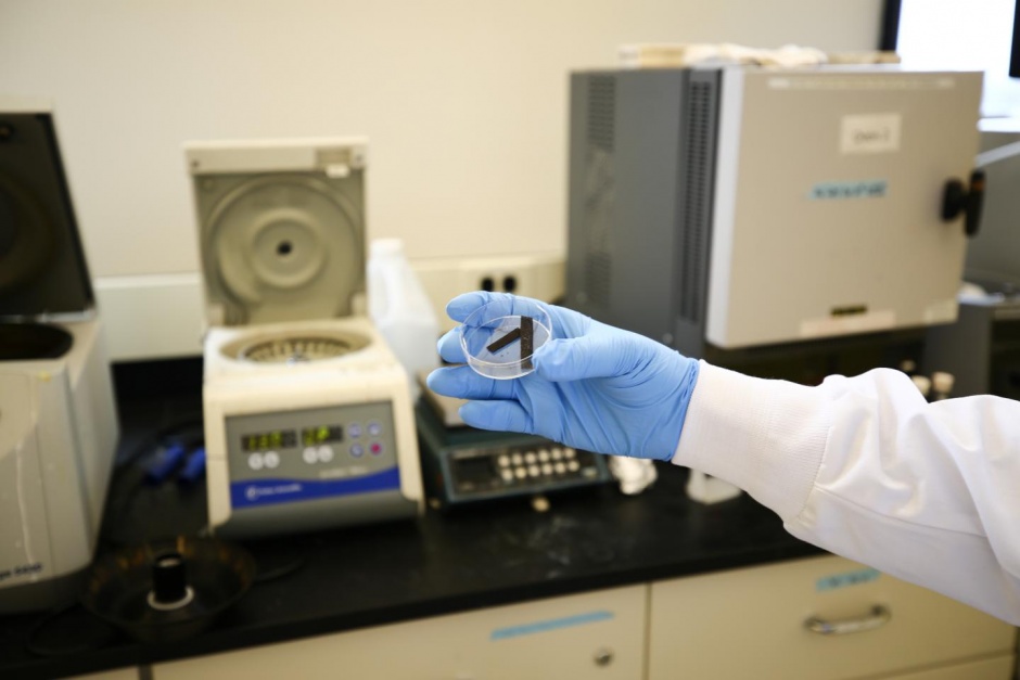 electrolysis catalyst