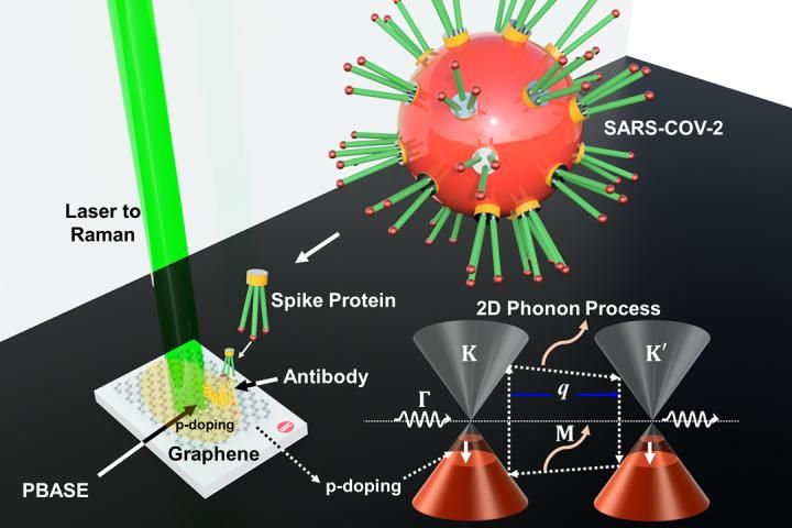 graphene sensor