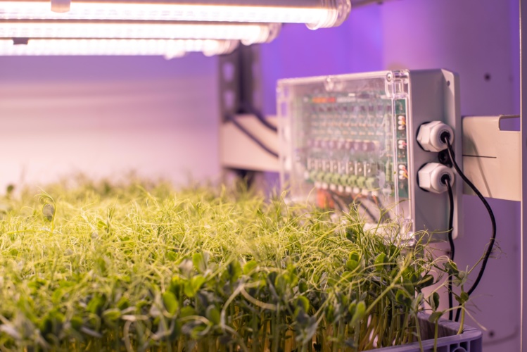 vertical farming