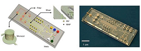 Microfluidic NMR system for the detection of microvesicles (MV) in blood. Labelling with magnetic nanoparticles (MNP) enables detection with a miniature NMR coil