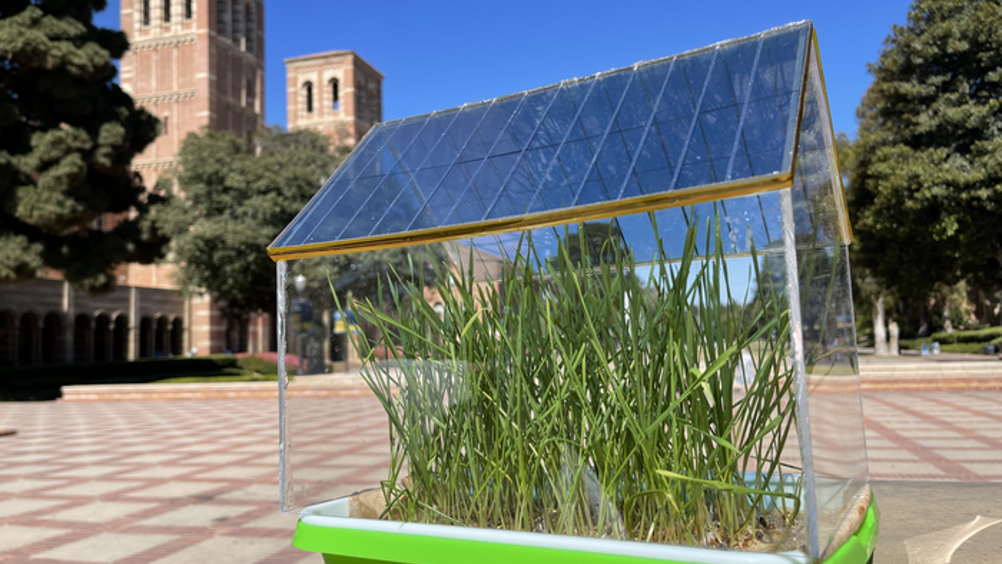UCLA materials scientists said its miniature greenhouse prototype, with its roof built of semi-transparent solar cells, resulted in better plant growth than a traditional greenhouse