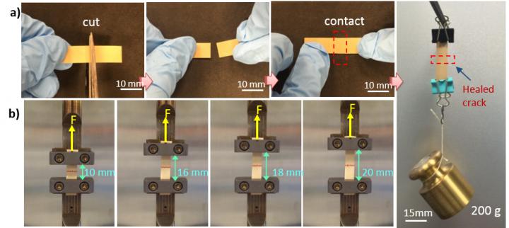 (Credit: Qing Wang, Penn State) 