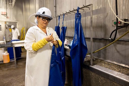 Michigan Turkey Producers employee, Blanca Chaidez, wears Taza Aya’s Worker Wearable Protection equipment as she prepares for her work shift