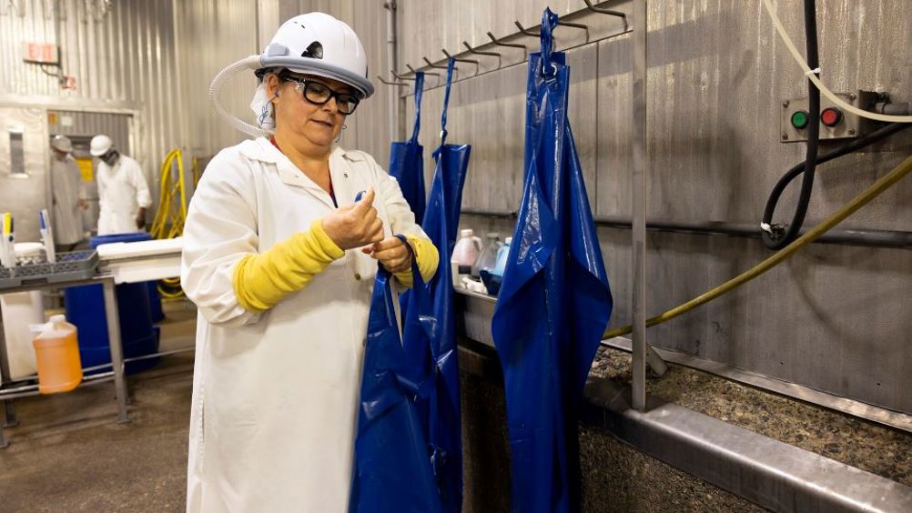 Michigan Turkey Producers employee, Blanca Chaidez, wears Taza Aya’s Worker Wearable Protection equipment as she prepares for her work shift