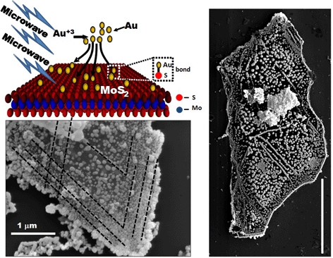 Vikas Berry, William H. Honstead professor of chemical engineering, and his research team have studied a new three-atom-thick material - molybdenum disulfide - and found that manipulating it with gold atoms improves its electrical characteristics