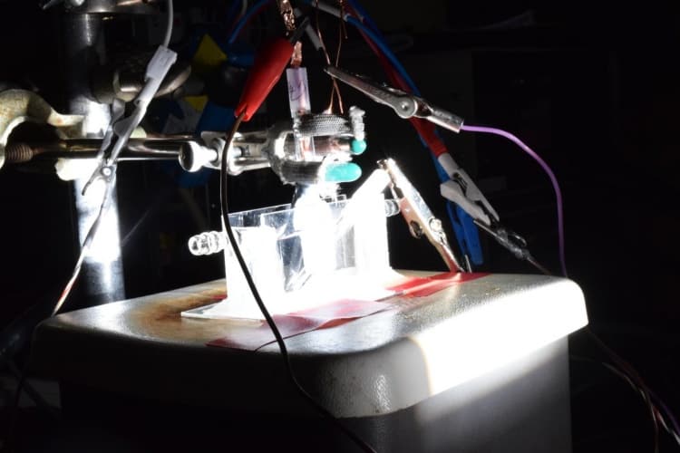 A photoelectrolysis cell splits water into hydrogen and oxygen using a catalyst made of the abundant elements cobalt, phosphorus and sulphur.