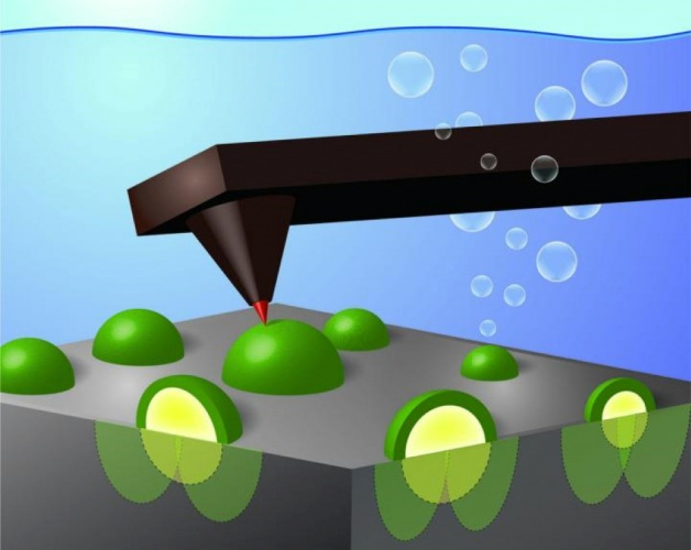 nickel nanoparticles